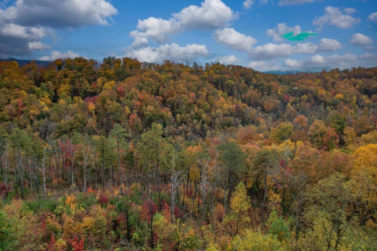 The Overlook - '21 Cabin - Gorgeous Unobstructed Views - Fire Pit Table - Gamerm - Hottub - Xbox - Lots Of Bears Gatlinburg Esterno foto